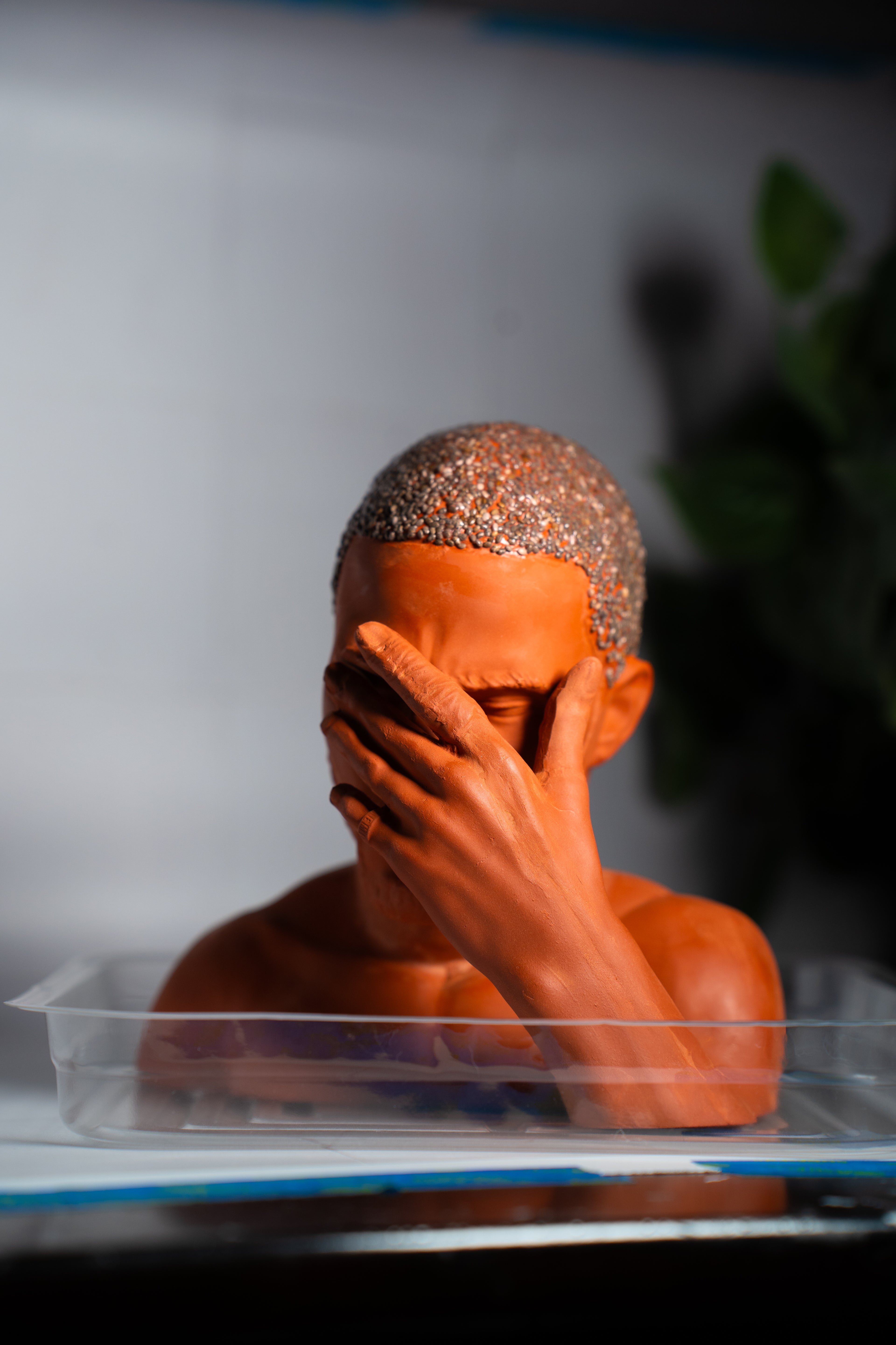 "Blond" Chia Planter