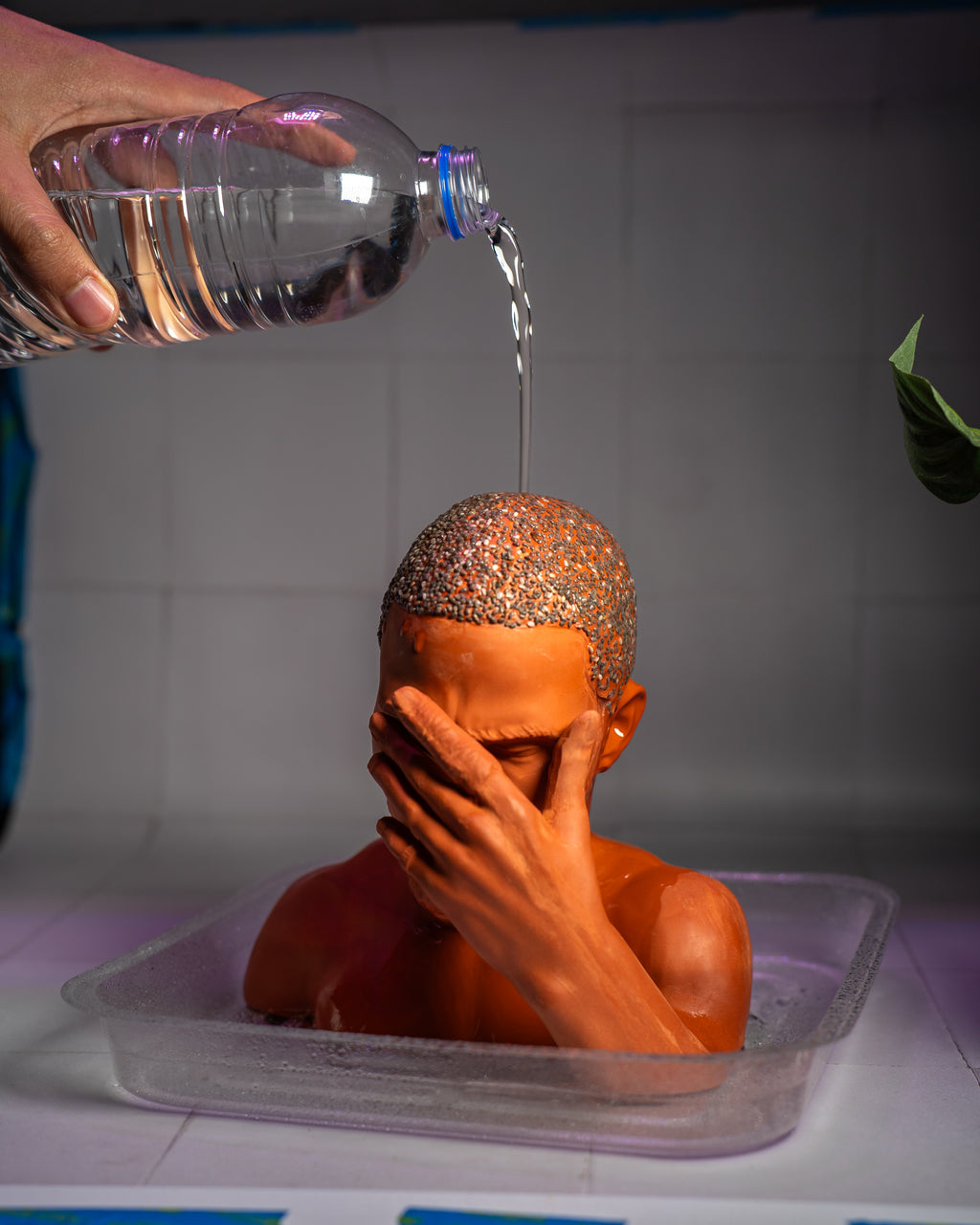 "Blond" Chia Planter