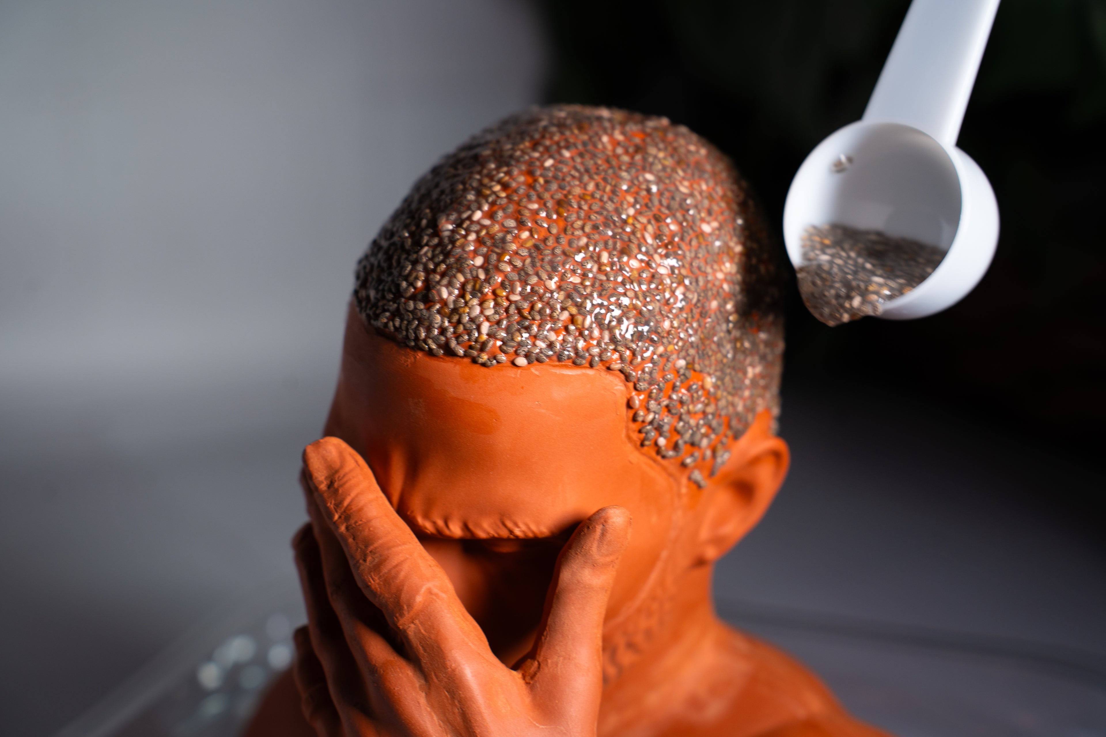 "Blond" Chia Planter