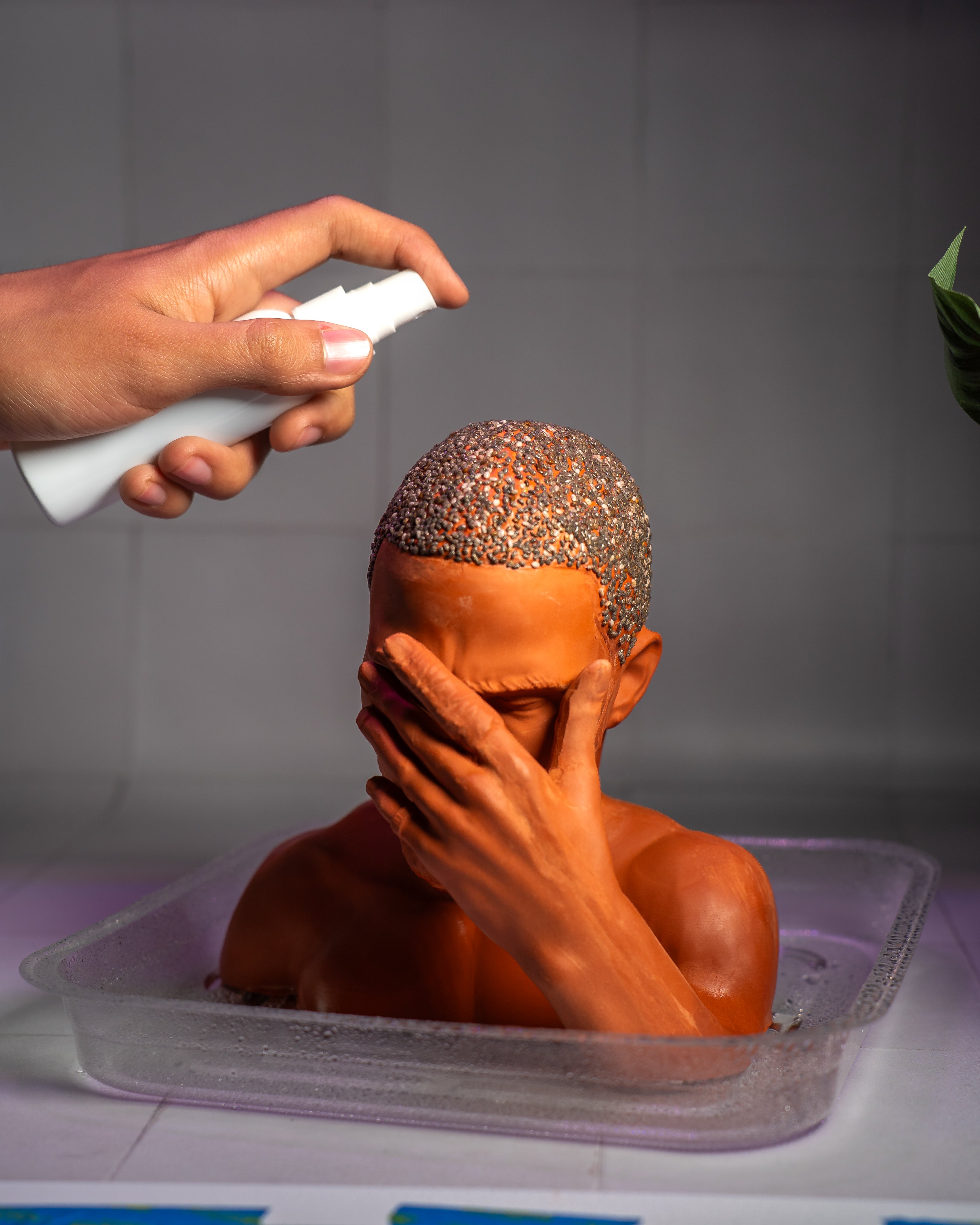 "Blond" Chia Planter