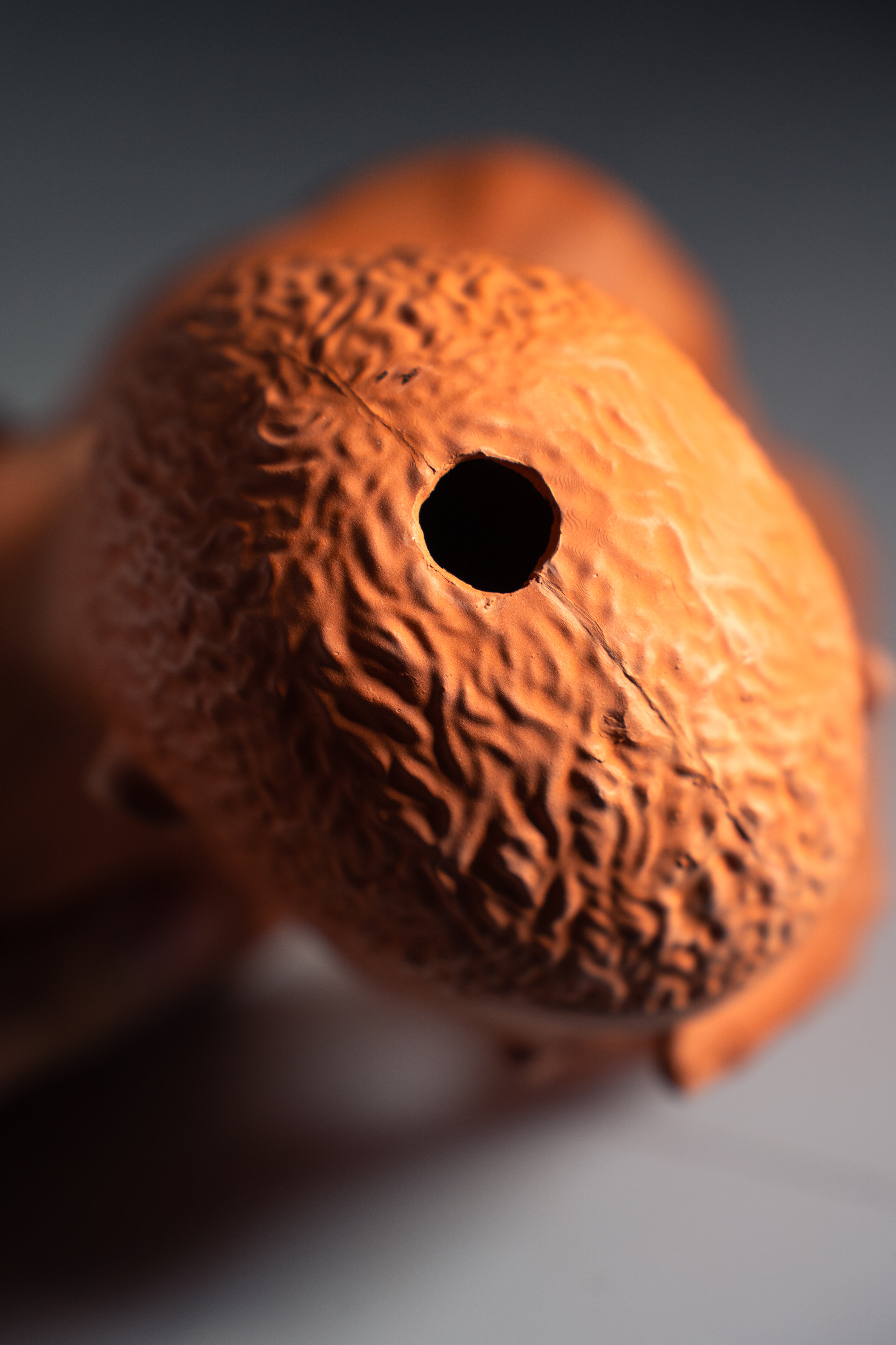 "Blond" Chia Planter